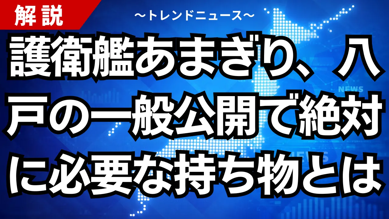 護衛艦あまぎり、八戸の一般公開で絶対に必要な持ち物とは